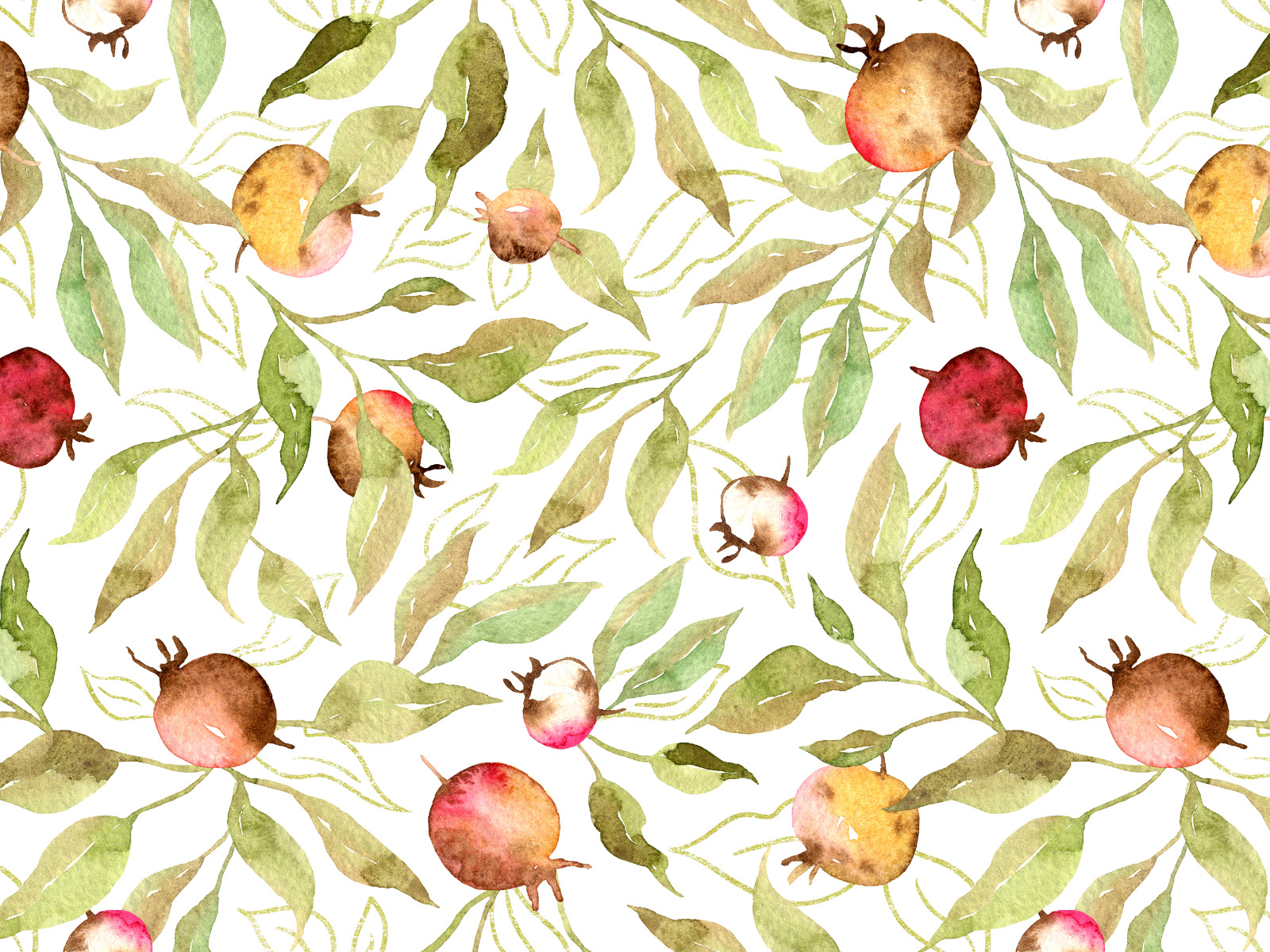 Watercolor Rosehips on white