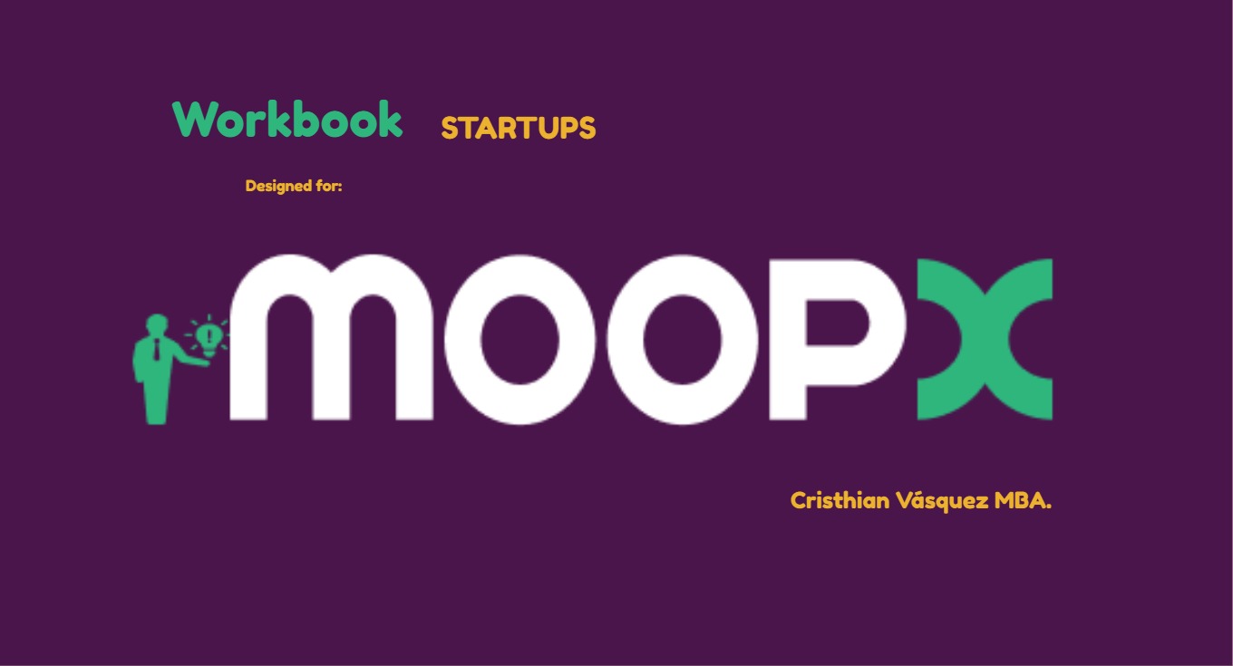Consultoría de Startups business development startups workbook
