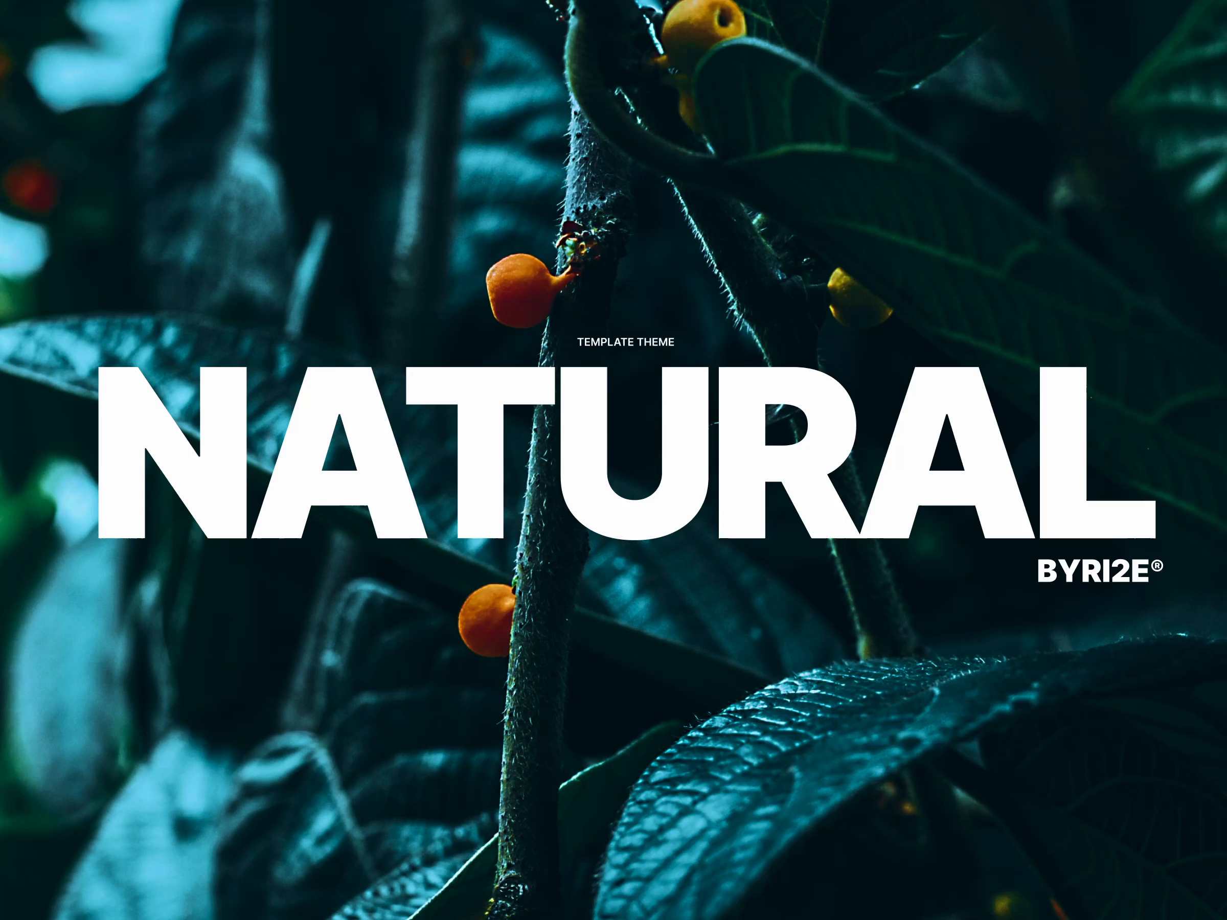RI2E Natural concept design desktop layout natural nature typography ui ux web design website