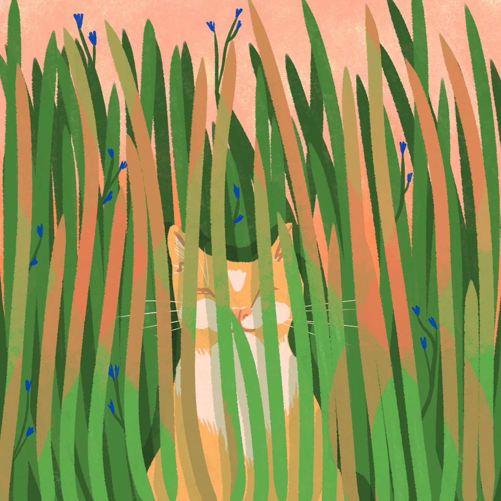 Momo in the grass cat illustration ipad procreate
