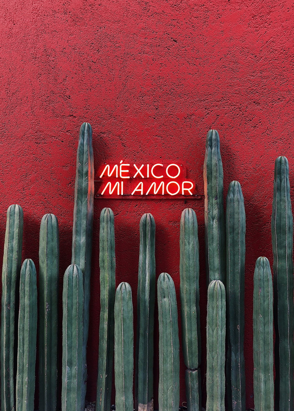 a red wall with a sign that says mexico innamor