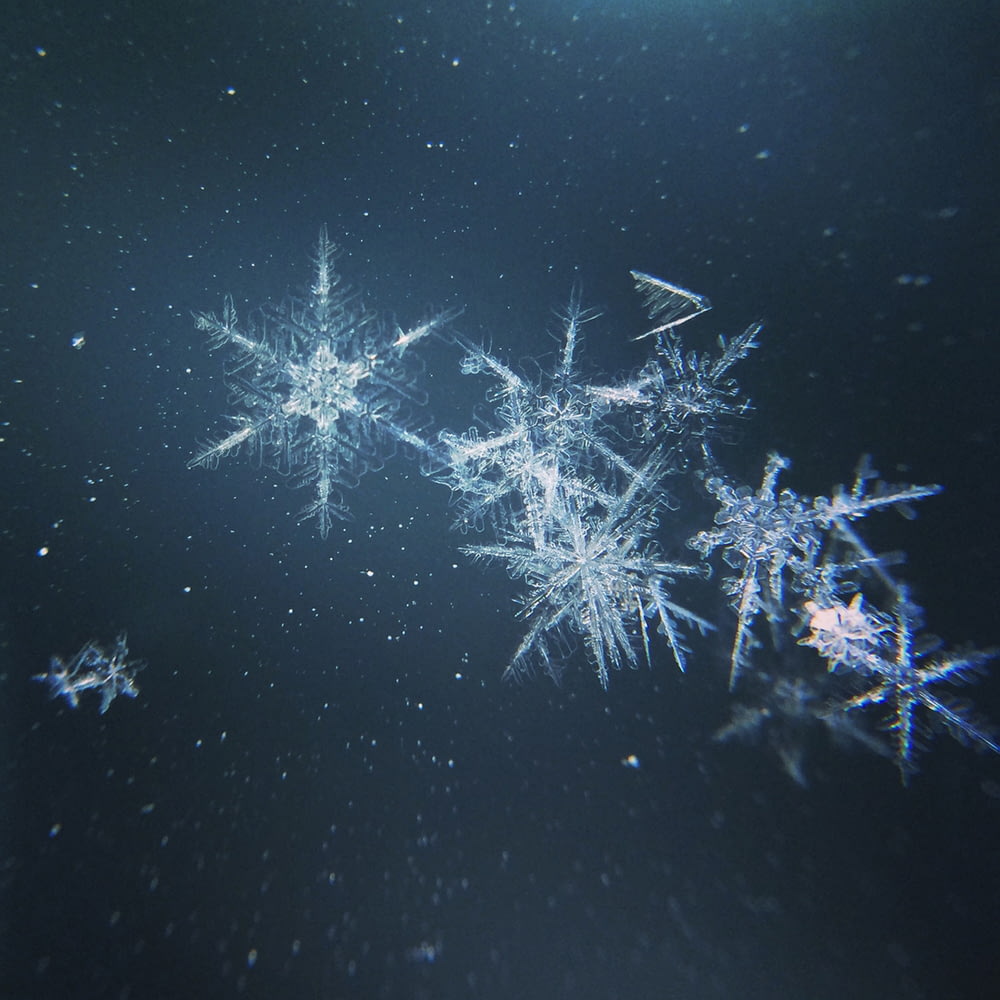 a group of snowflakes floating in the air
