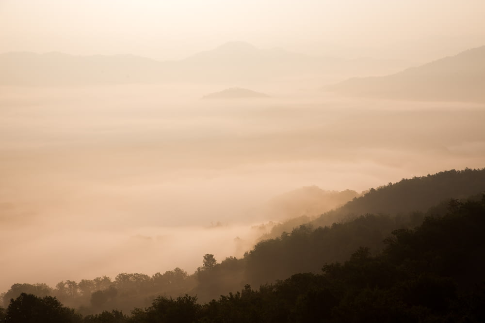 Fotografie aus der Vogelperspektive von Bergen mit Nebel