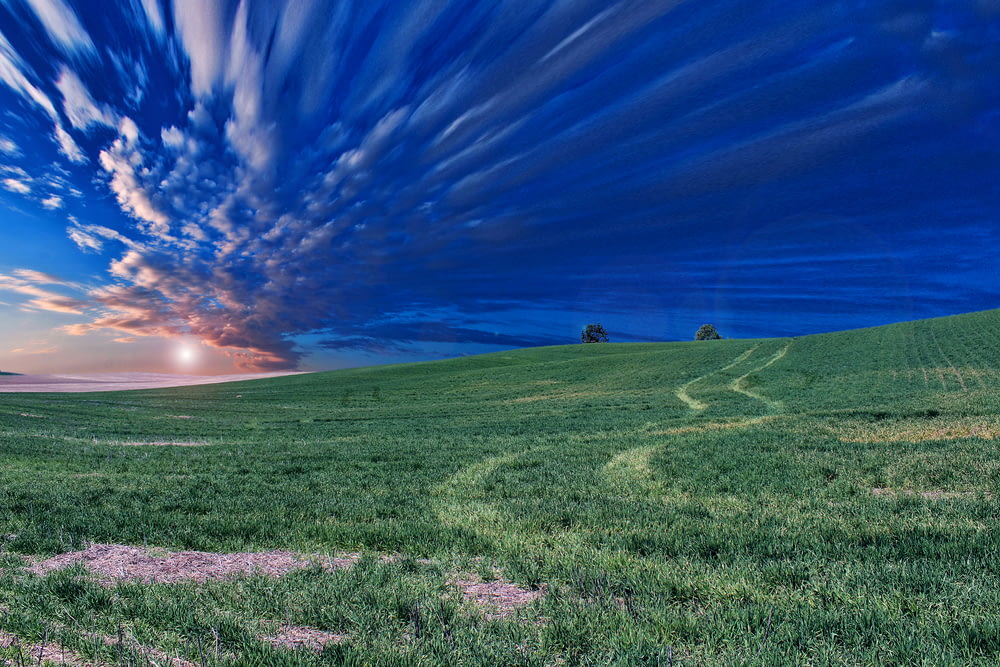 time lapse photography of green field and clouds