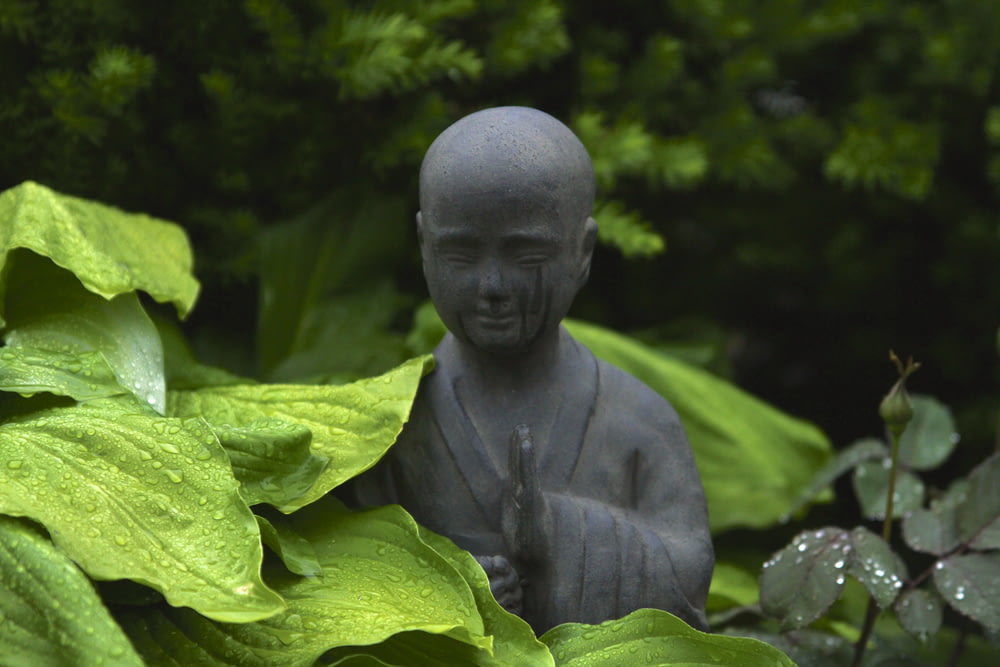 monk statue surrounded by plants outdoor during day