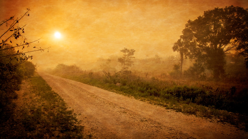 sepia photography of dirt road