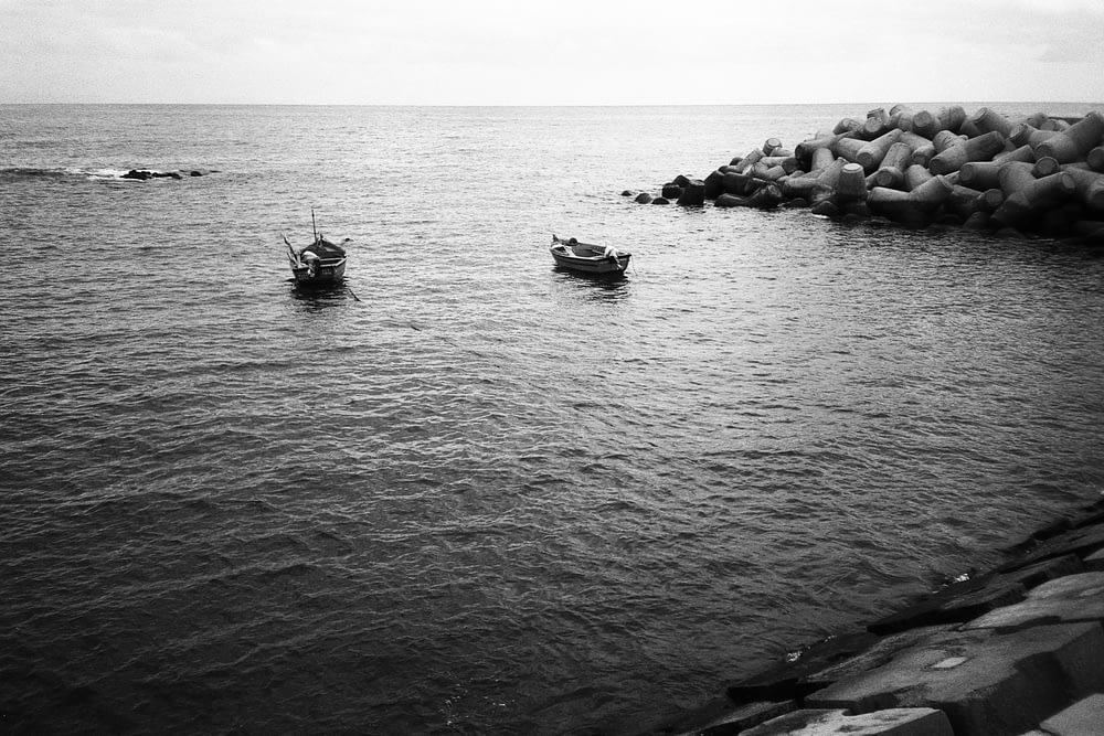 grayscale photo of two paddle boats near shore