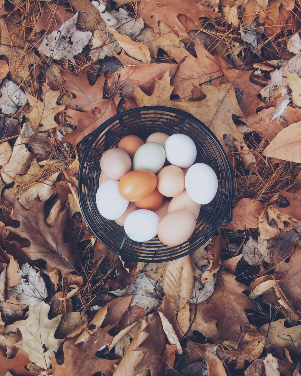 白と茶色の卵
