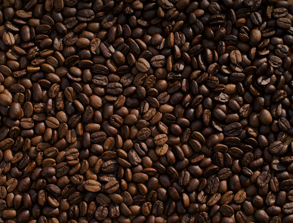 lot de grains de café