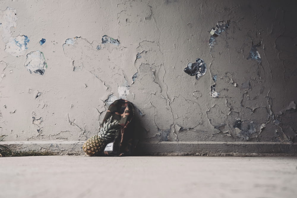 pineapple and backpack on floor near wal