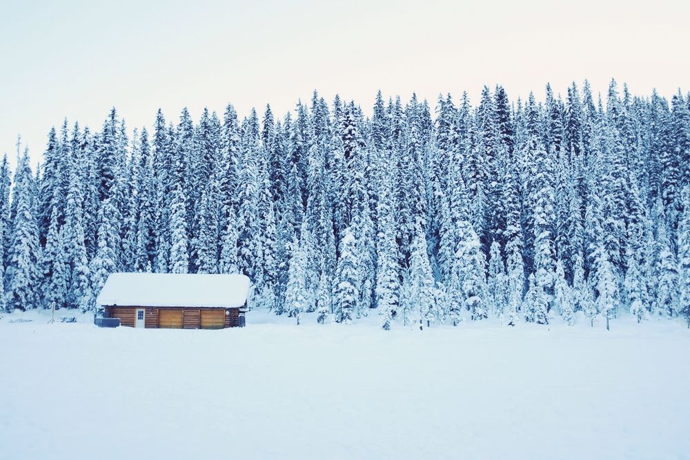 snow covered brown wooden house near trees