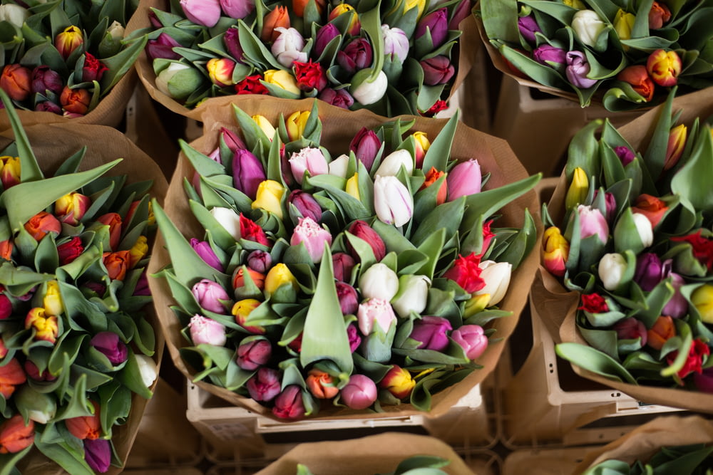 fiore di tulipano in scatola