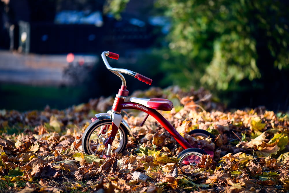 Triciclo Radio Flyer rosso su foglie secche marroni