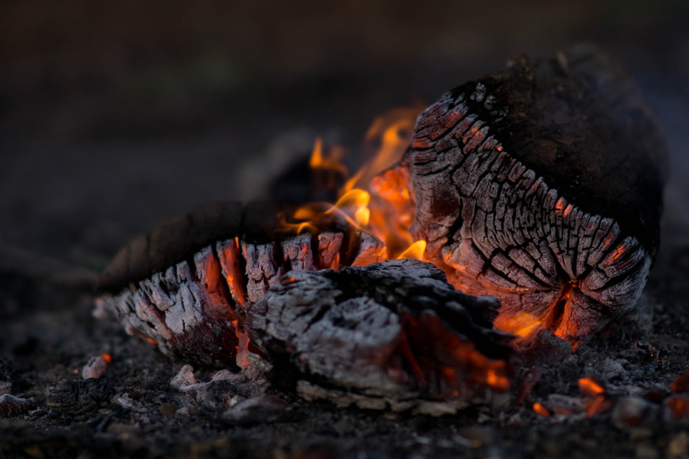 燃える薪のクローズアップ写真