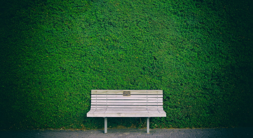 empty white wooden bench beside green wall