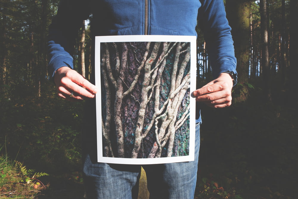 person holding photo of roots