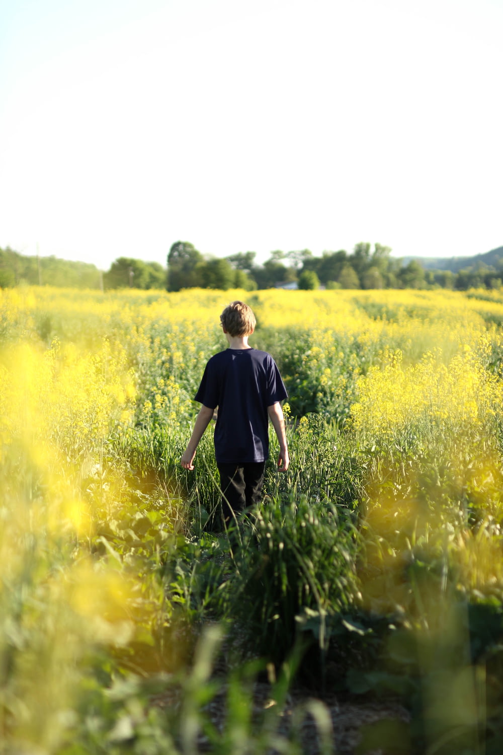 ragazzi che camminano nel campo di fiori gialli durante il dayitme