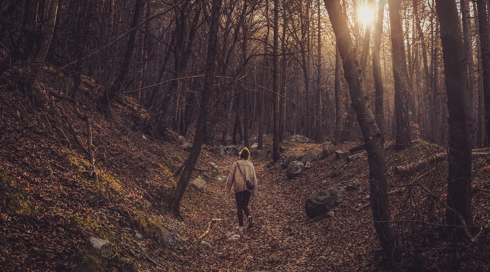 Una donna che cammina in una foresta nel pomeriggio