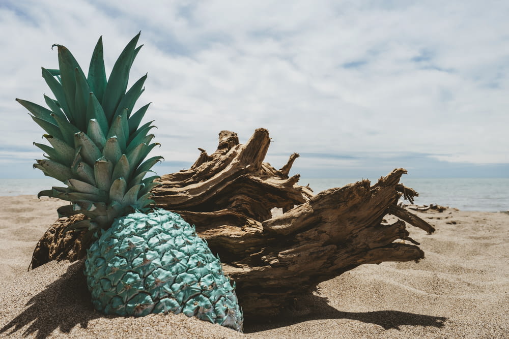 a pineapple sitting on top of a sandy beach