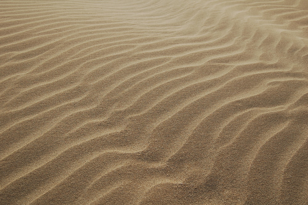 Dunas de arena durante el día