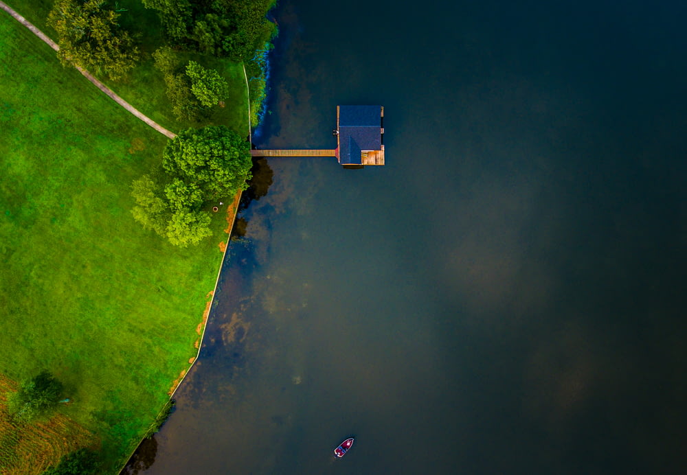 bird's eye view of blue wooden house on body of water near trees