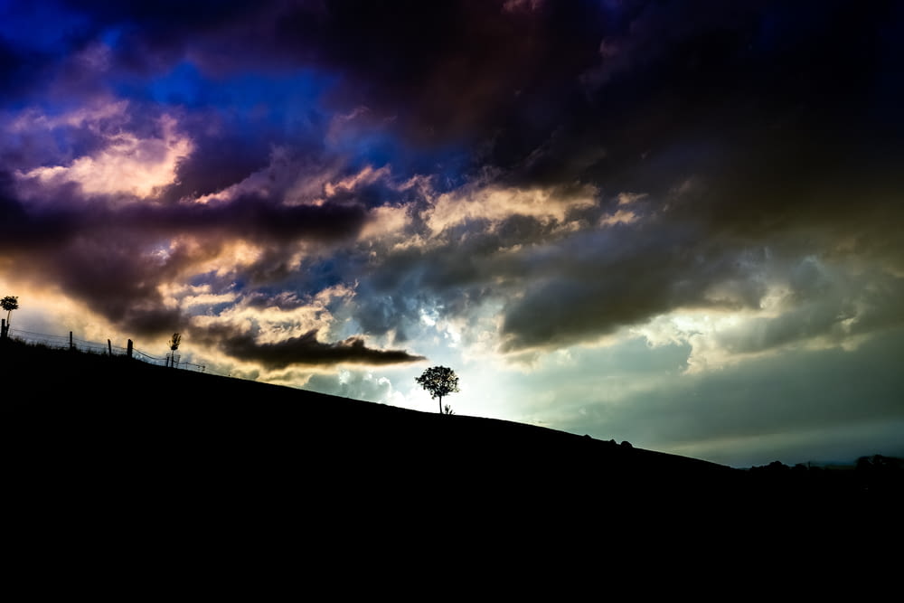 silhouette of tree on top of hill under cloudy sky