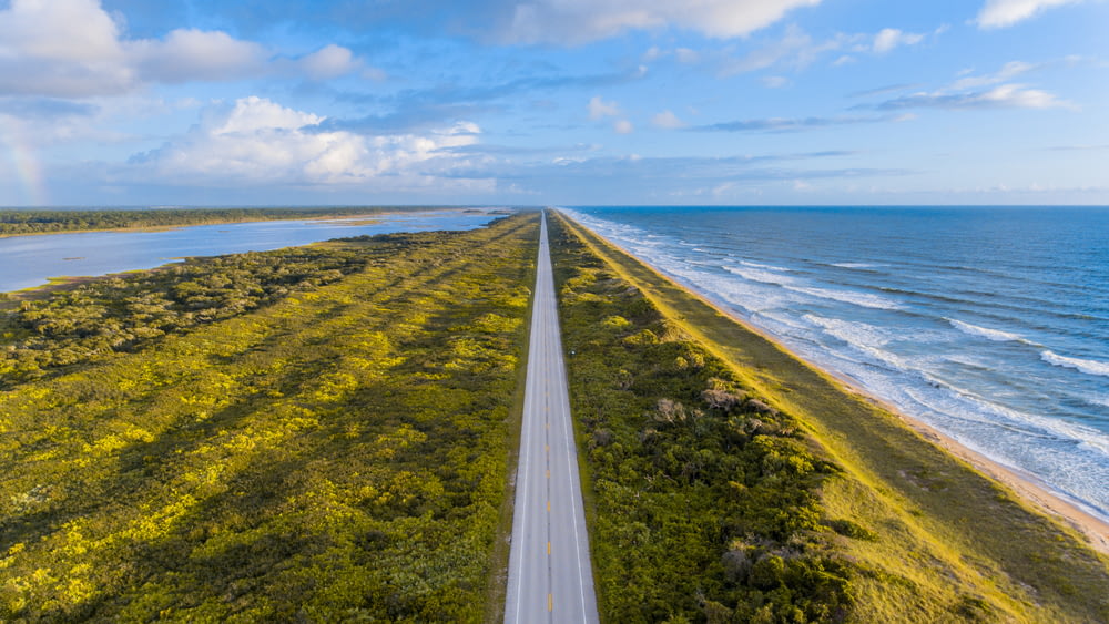 aerial view photography of asphalt road in between ocean and trees under cloudy sky