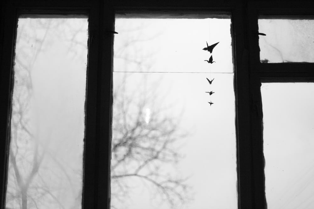창문 밖의 나무 위로 날아가는 새 떼