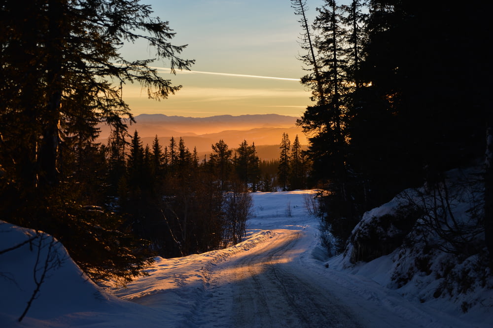 roadway leading to snowy field