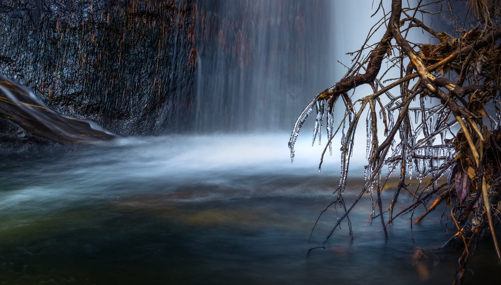 photo of waterfalls near roots