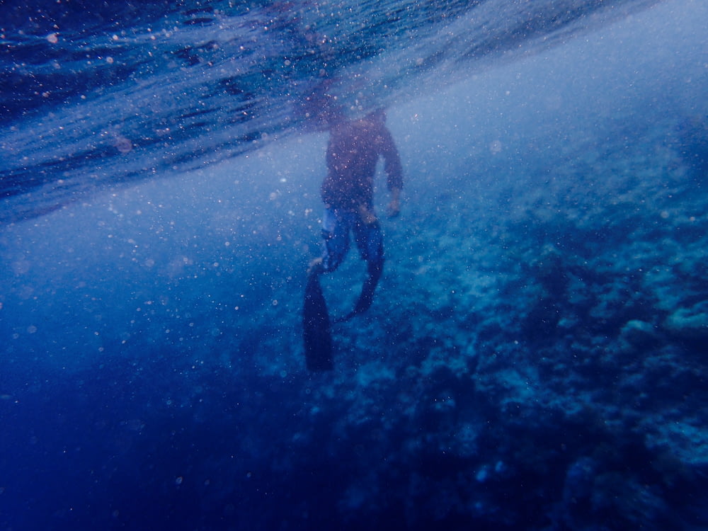 under water photography of person diving