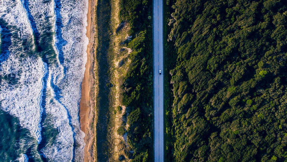 Fotografía aérea de una carretera de hormigón entre árboles y olas de mar durante el día