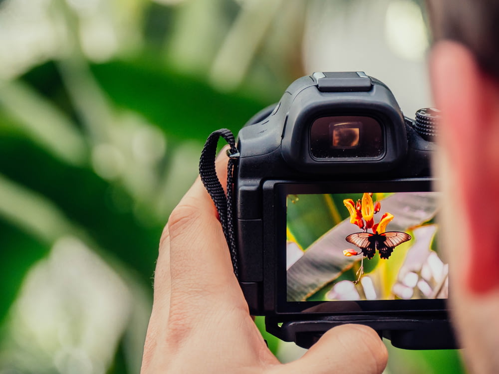 Fotocamera digitale nera che cattura il fiore giallo