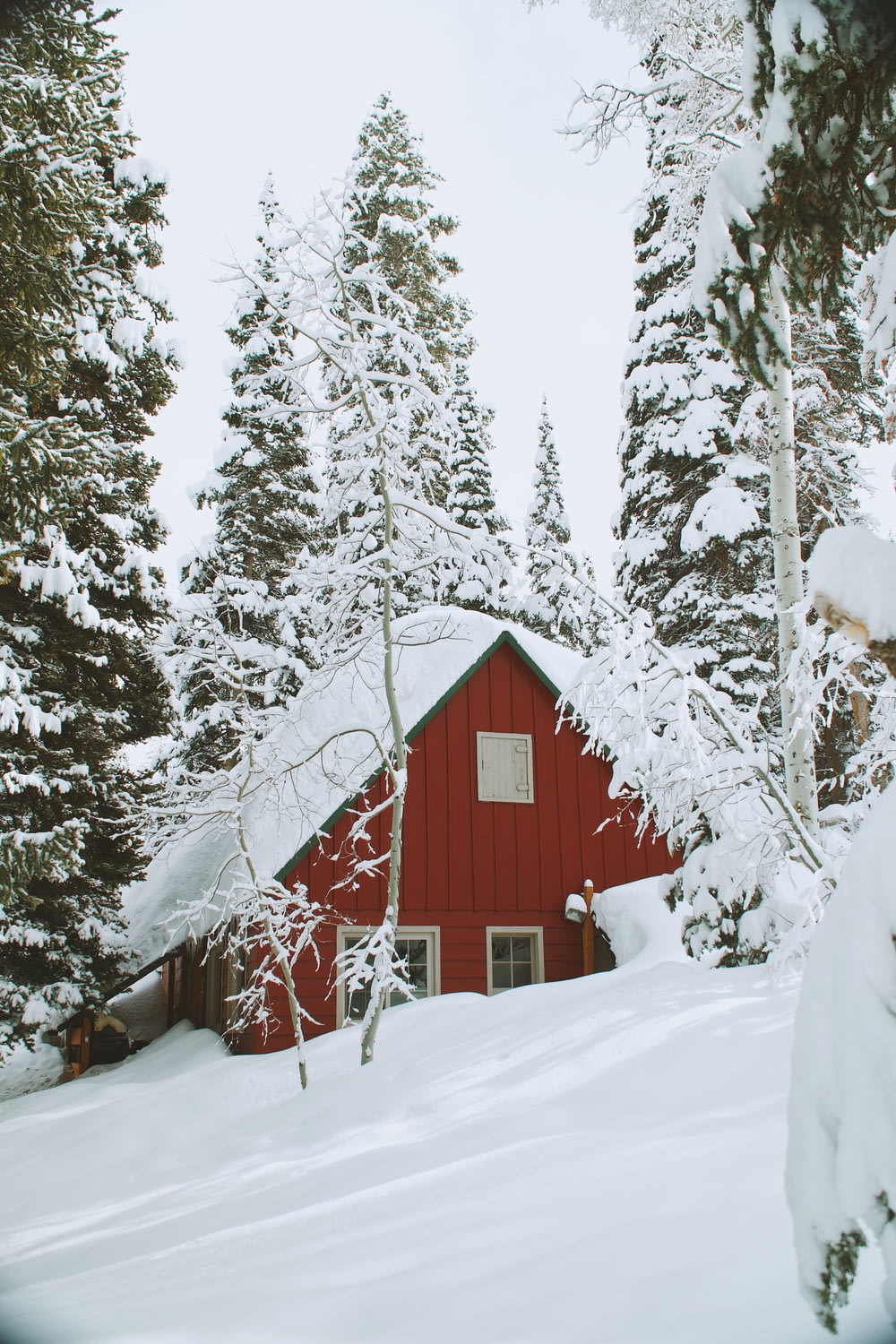 casa di legno coperta di neve durante il giorno