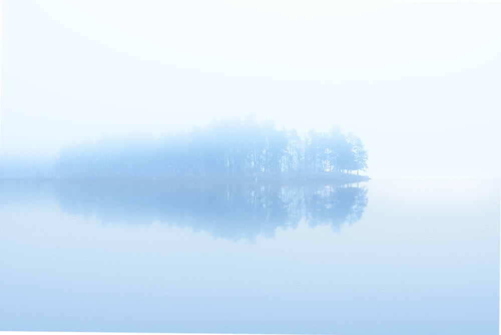 body of water across trees surrounded by fogs
