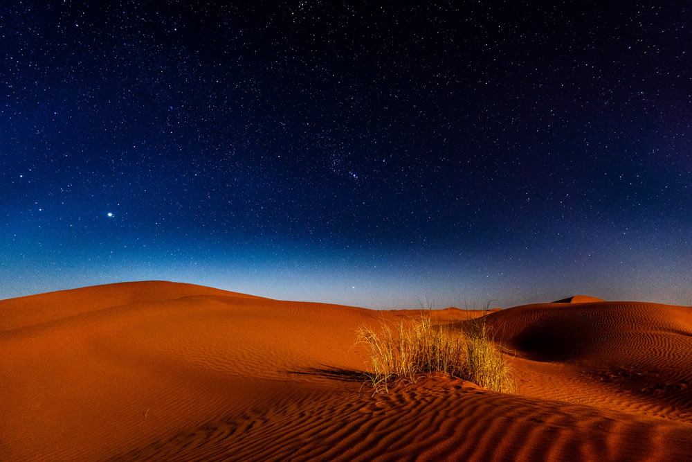 desert during nighttime