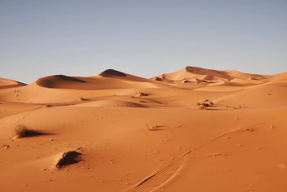 砂漠の風景写真