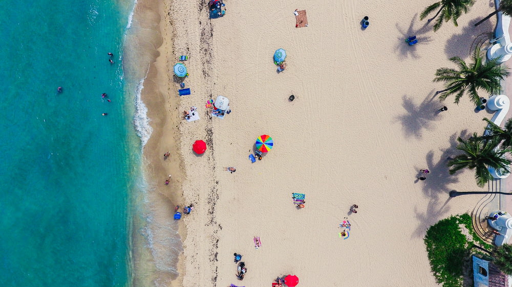 Photographie aérienne de personnes se rassemblant sur le rivage