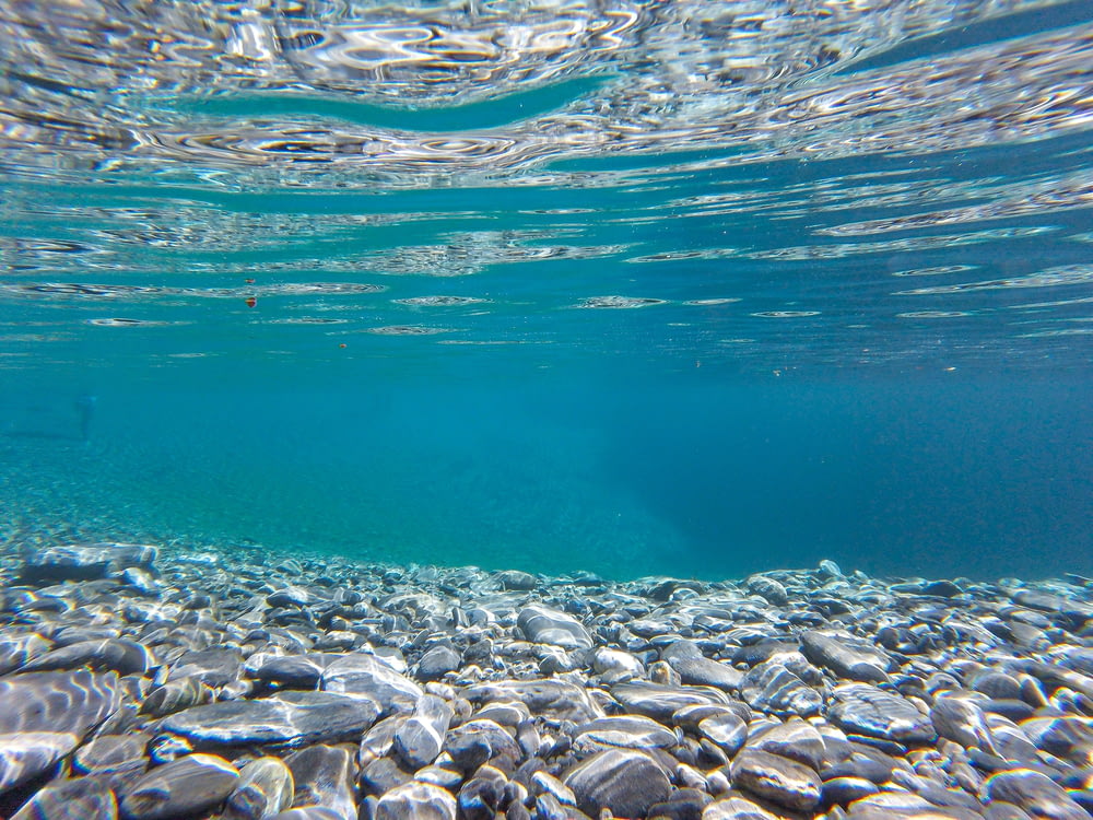 Fotografía de enfoque superficial de rocas bajo el agua