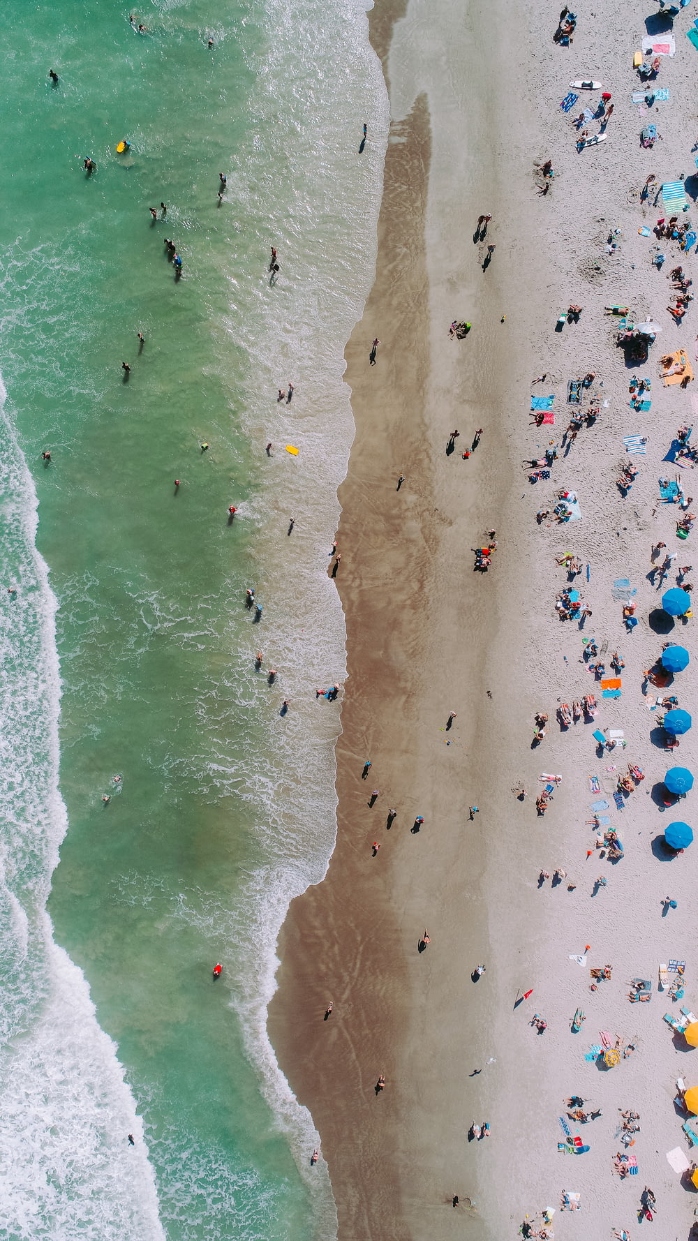 aerial photography of people on beach