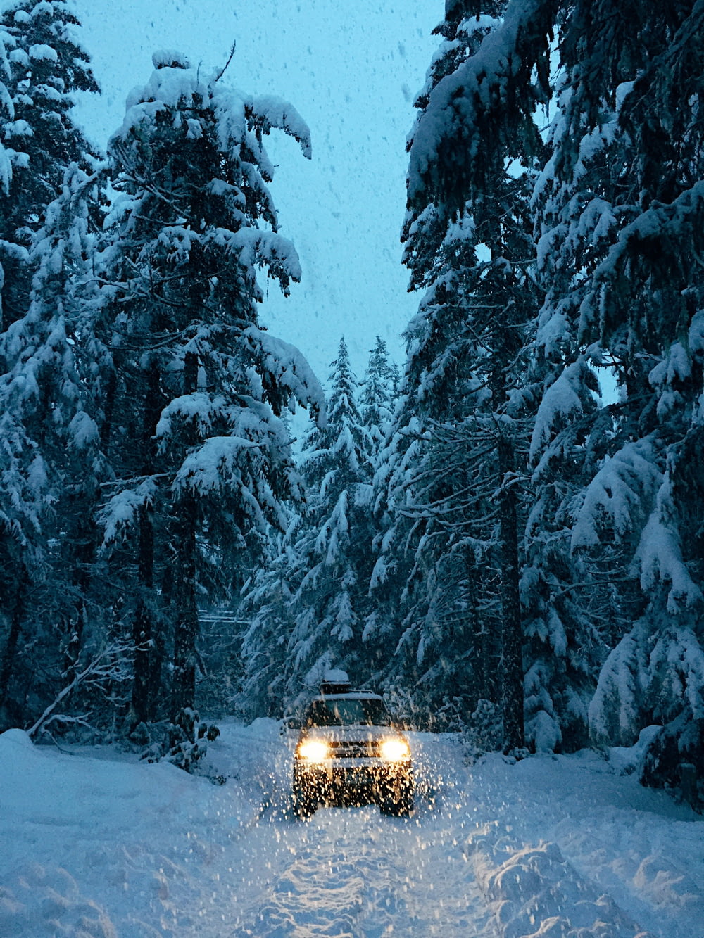 a car driving through a snow covered forest