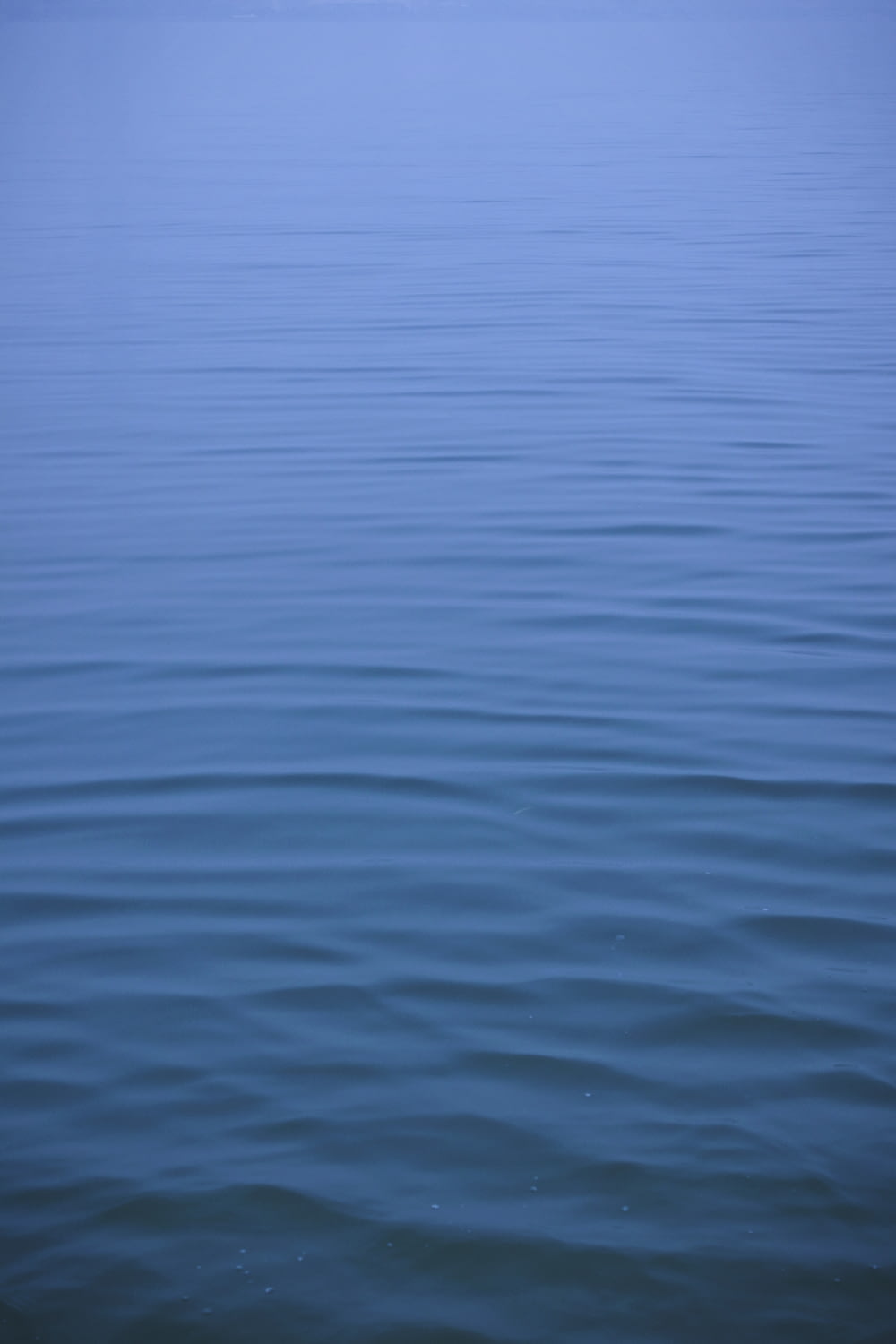 photo of body of water