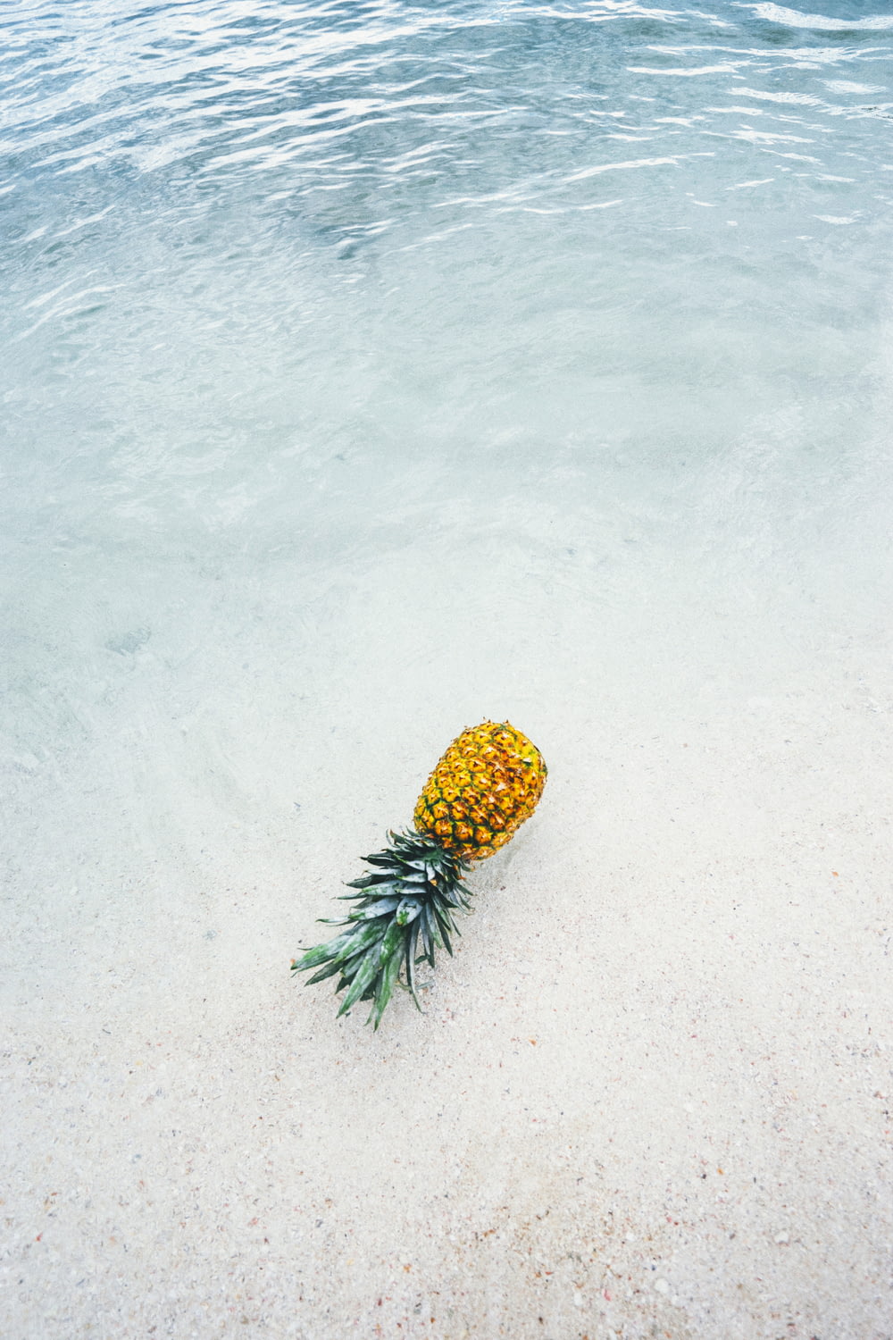 pineapple on seashore