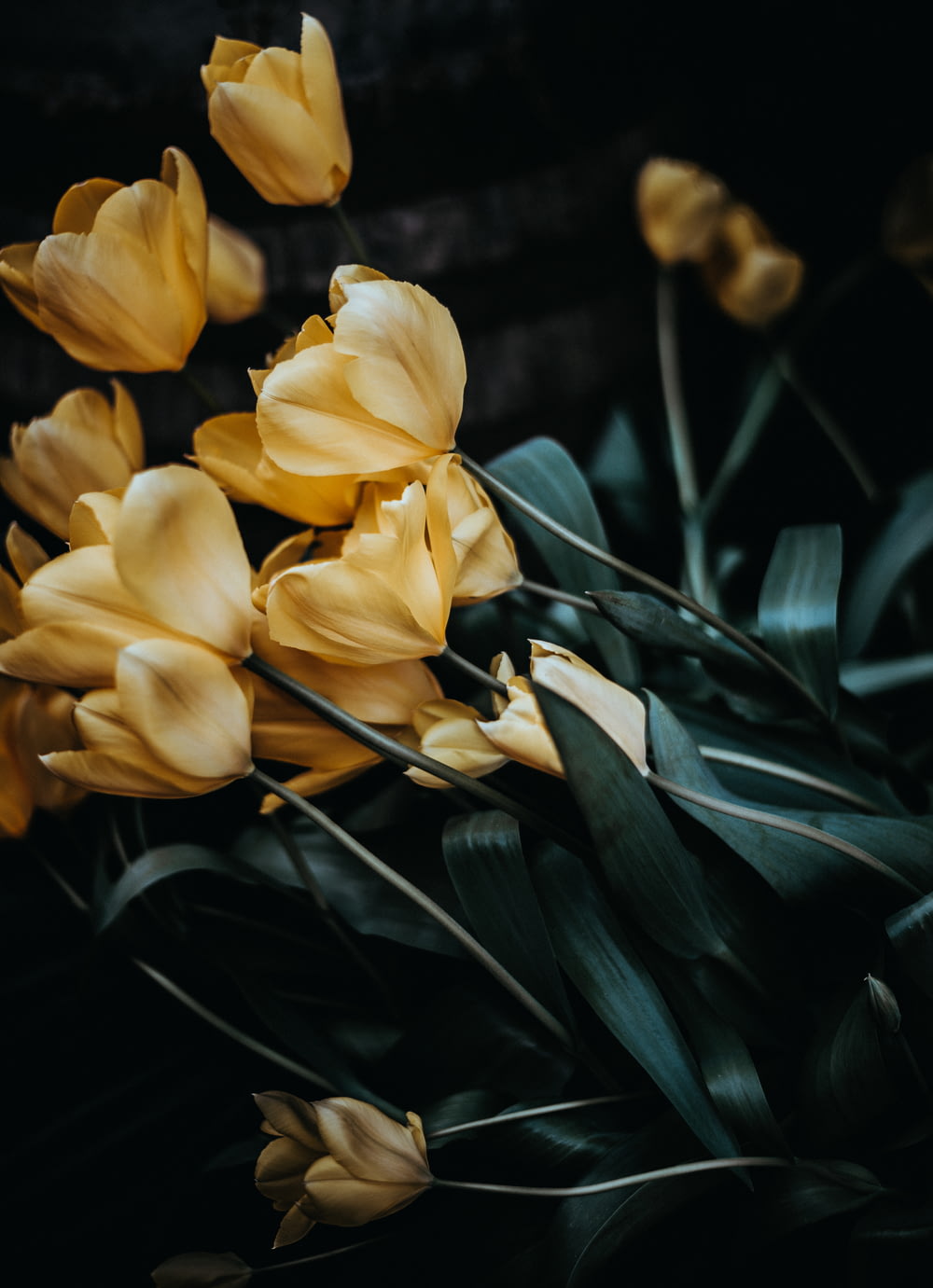 Photographie sélective de fleurs pétales beiges