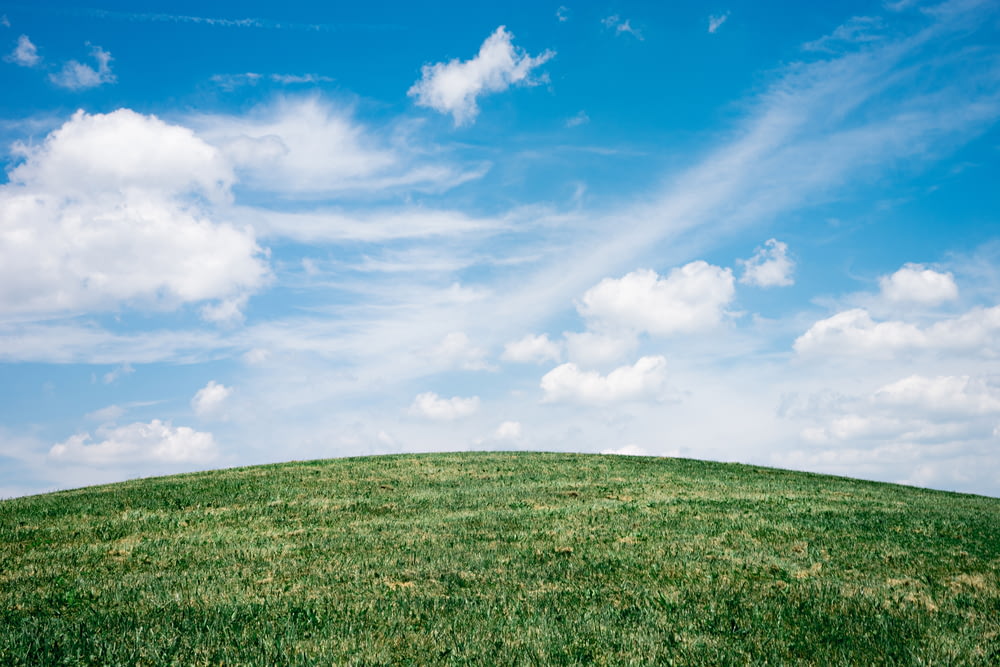 Paisaje de campo de hierba bajo cielo azul