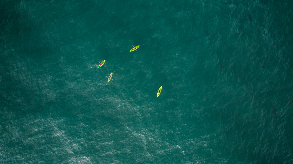 aerial photography of four green kayaks