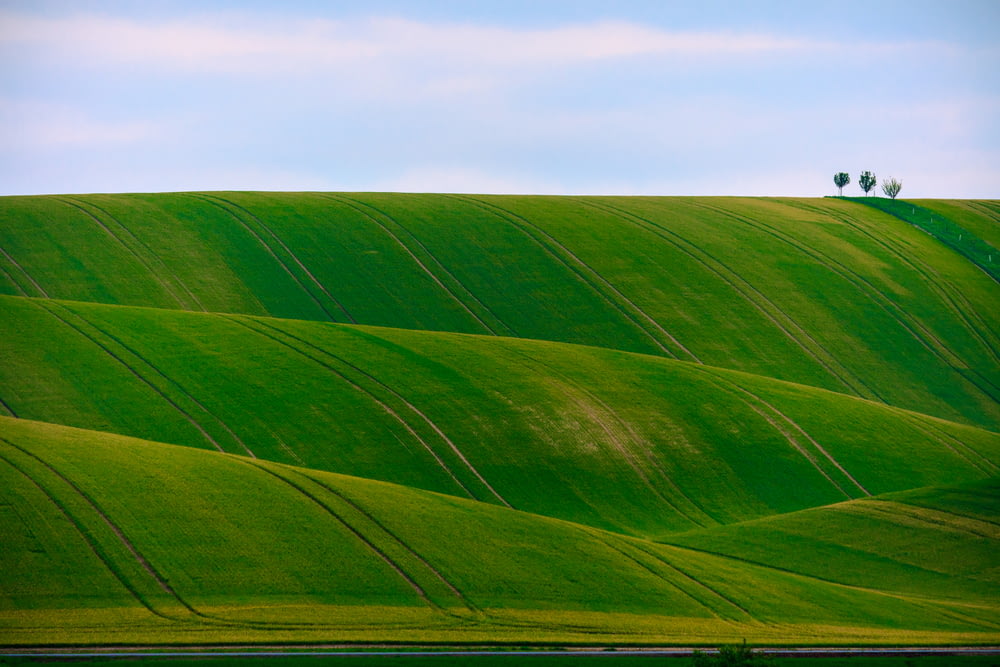 緑の丘のパノラマ写真