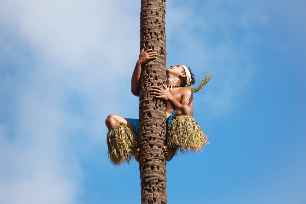 a woman is climbing up a palm tree