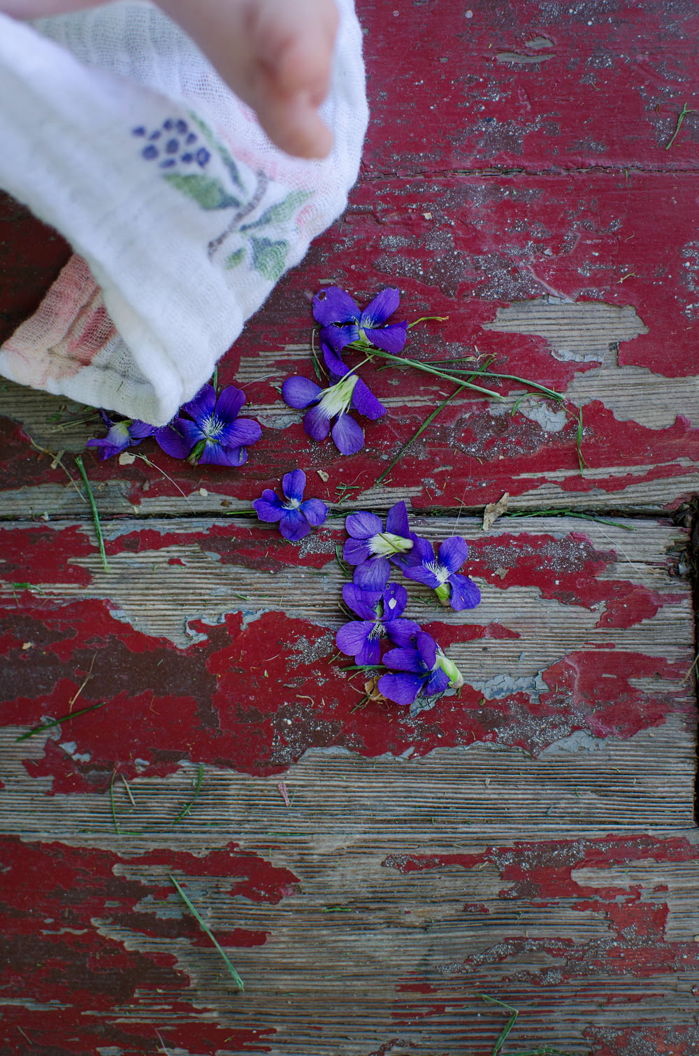 a person holding a cloth over a bunch of purple flowers
