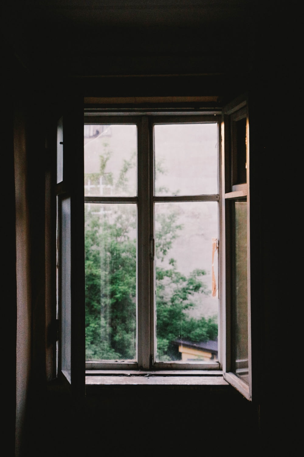 식물 근처의 여닫이 창 열기